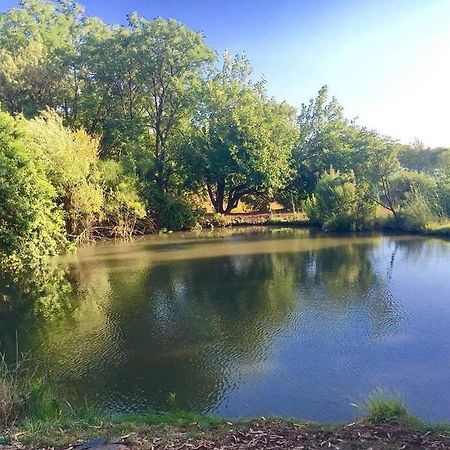 Kefar Szold פינה בגינה- יחידת דיור מקסימה בקיבוץ בעמק החולה 아파트 외부 사진